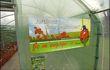 Semaine sans pesticides